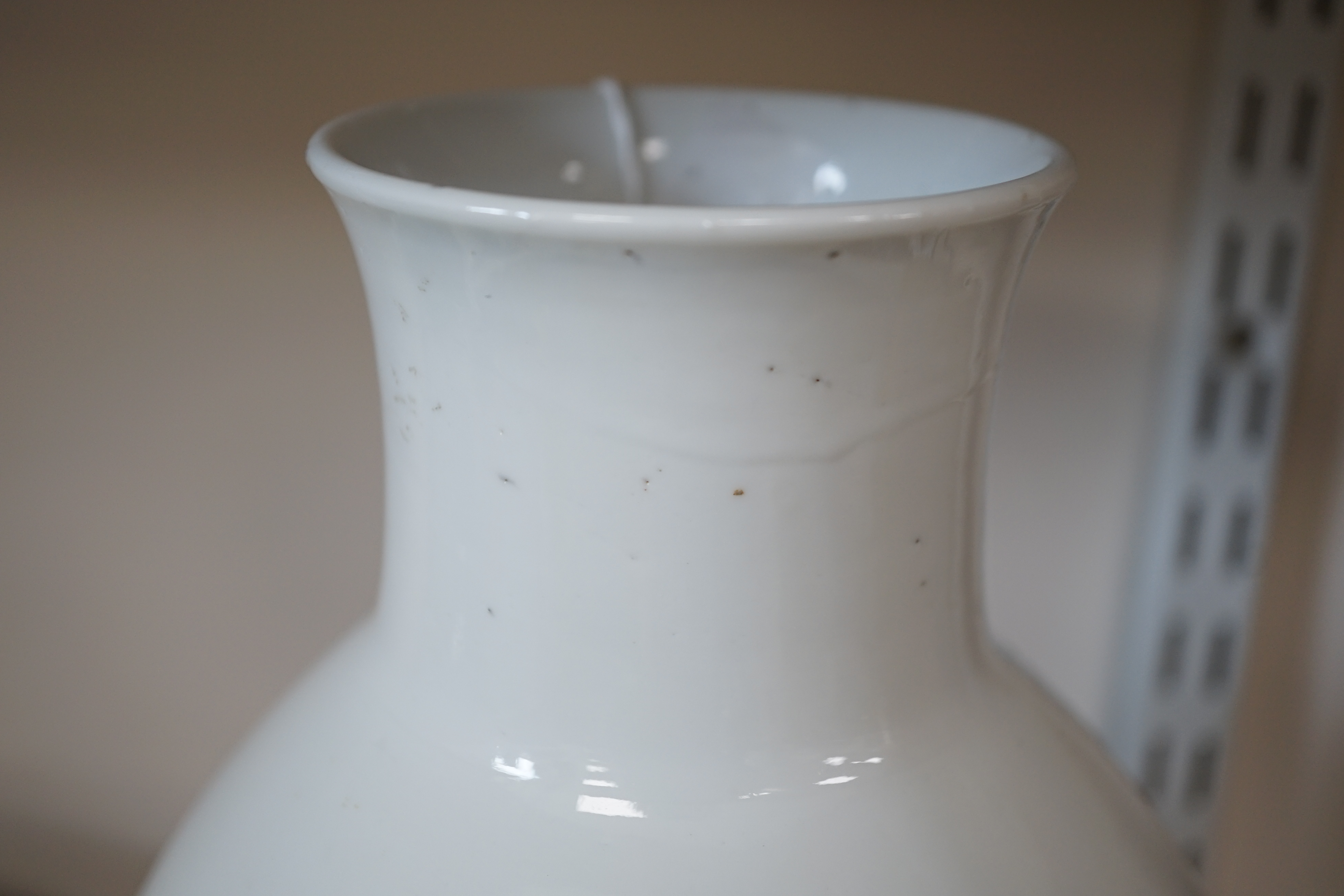 A large Chinese blue and white ovoid vase, early 20th century, firing crack